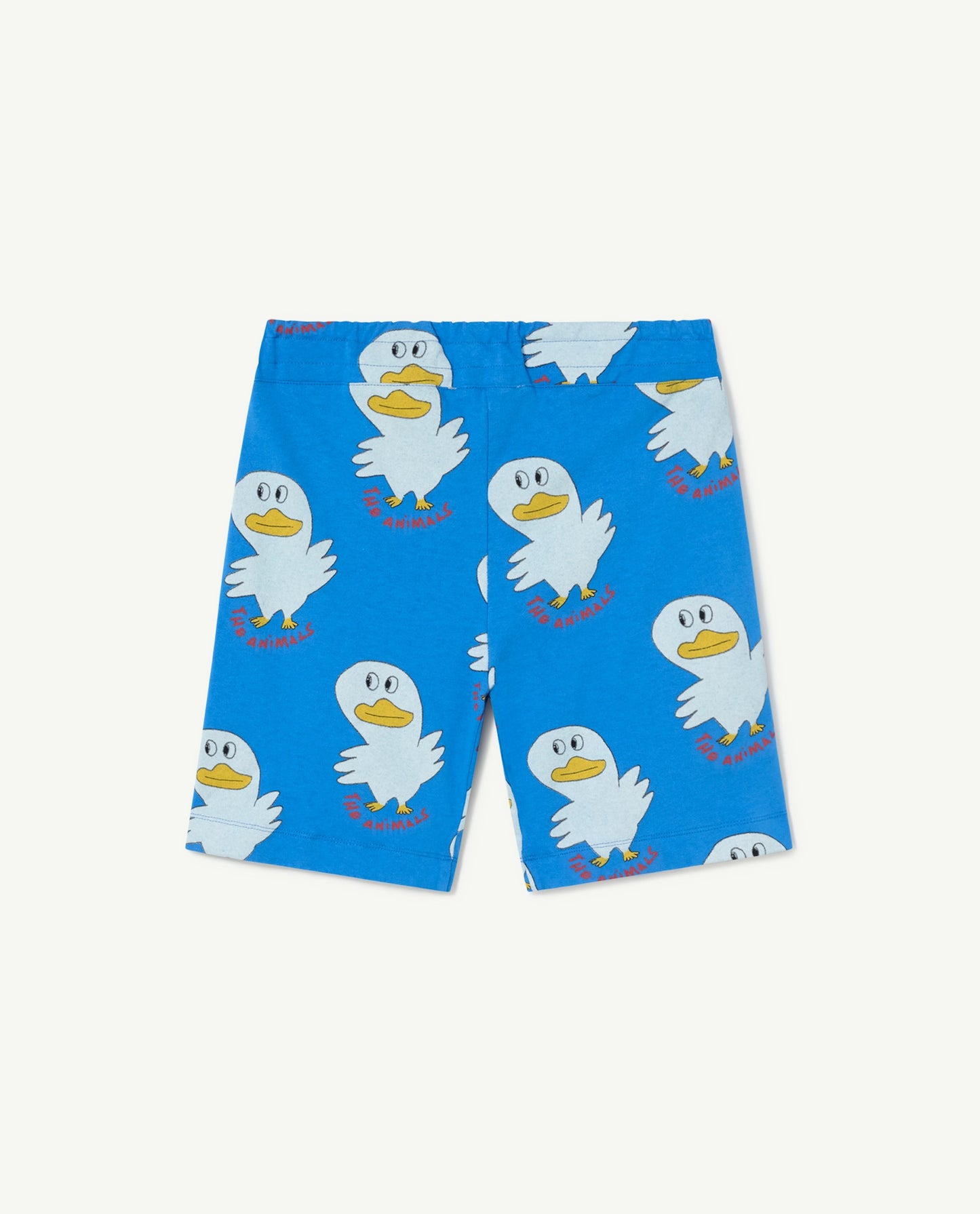 Blue Eagle Shorts-The Animals Observatory