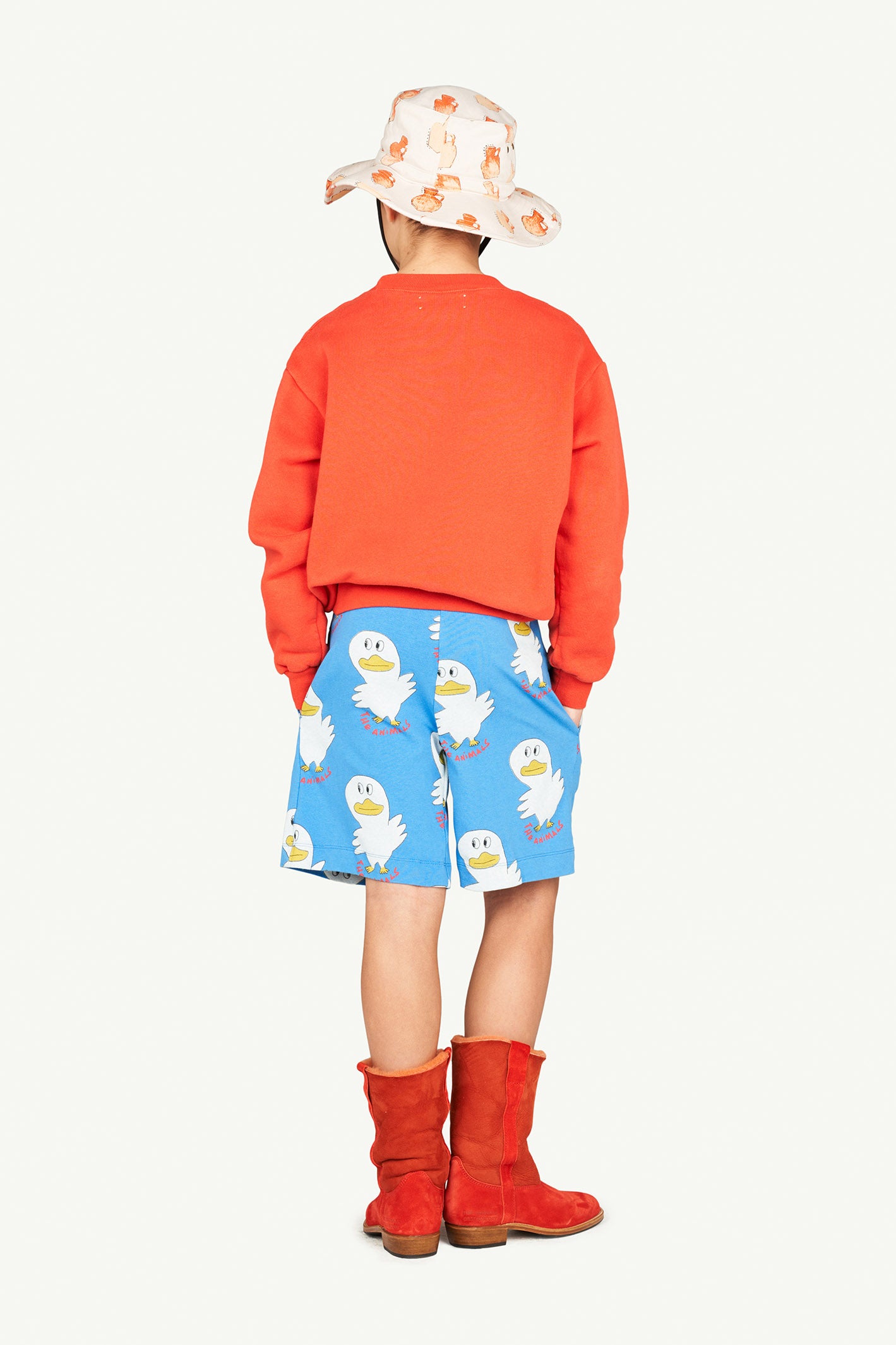 Blue Eagle Shorts-The Animals Observatory