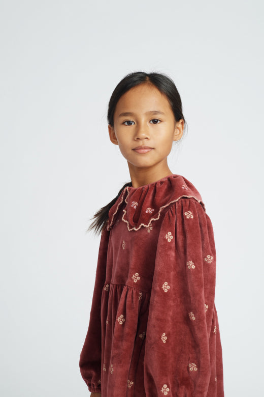 Valeria Dress, Rosewood-Bebe Organic