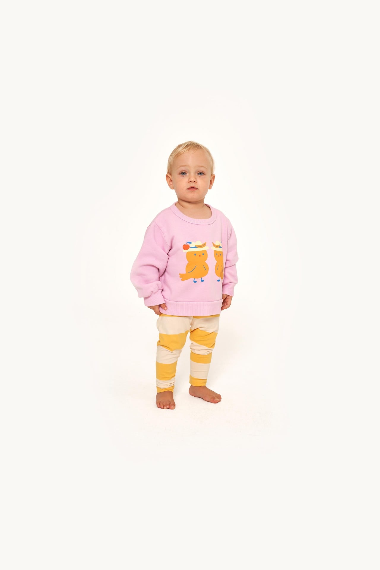 Birds Baby Sweatshirt- Tiny Cottons