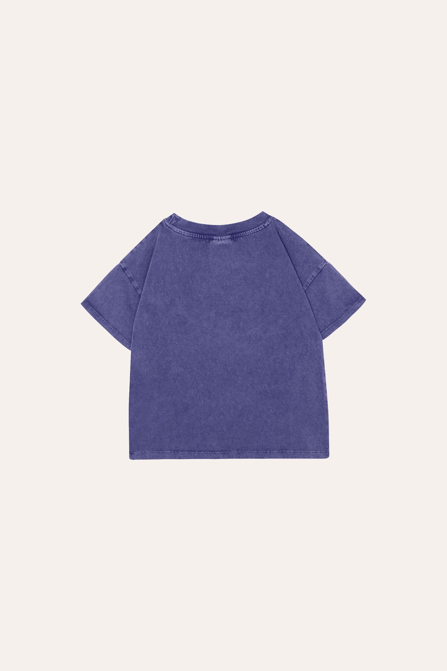 Dolphin Washed Tshirt - The Campamento